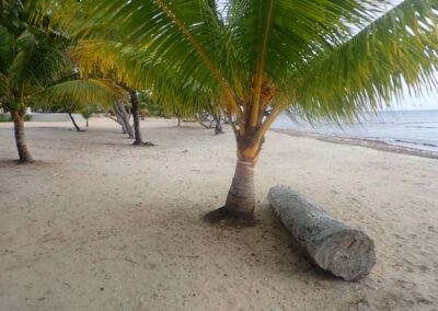 Public Beach - across the street