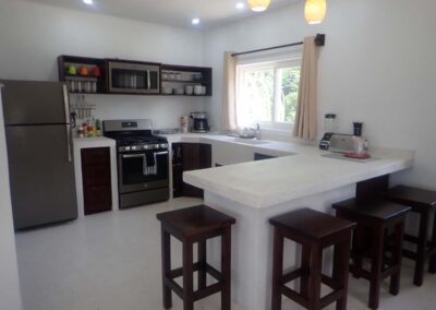 Large chef's kitchen