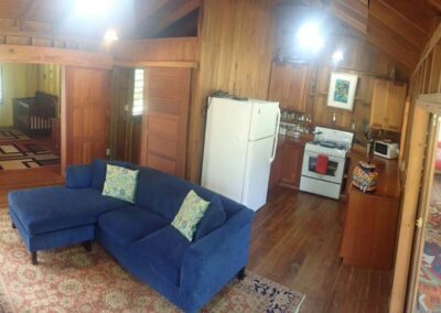 Open Floor Plan with pass-through to dining area from kitchen